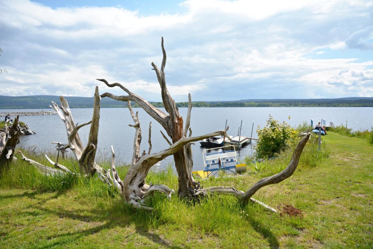 Pension Calla Dolni Vltavice ภายนอก รูปภาพ